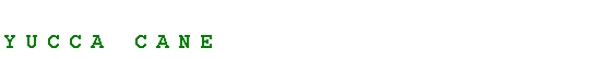 Text Box: Yucca Cane